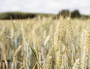 爱游戏体育下载-江苏苏宁全队敢打敢拼,积极备战比赛挑战强敌