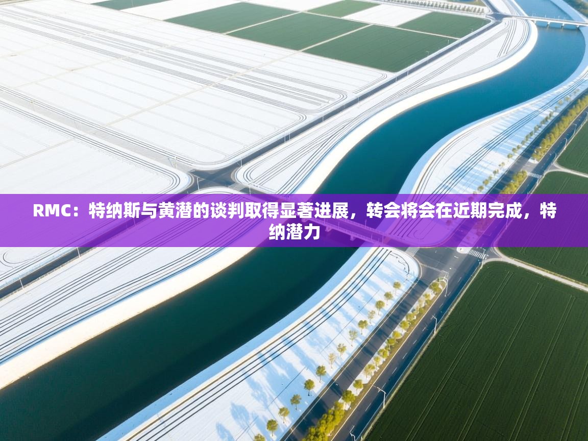 爱游戏体育-RMC：特纳斯与黄潜的谈判取得显著进展，转会将会在近期完成，特纳潜力  第3张