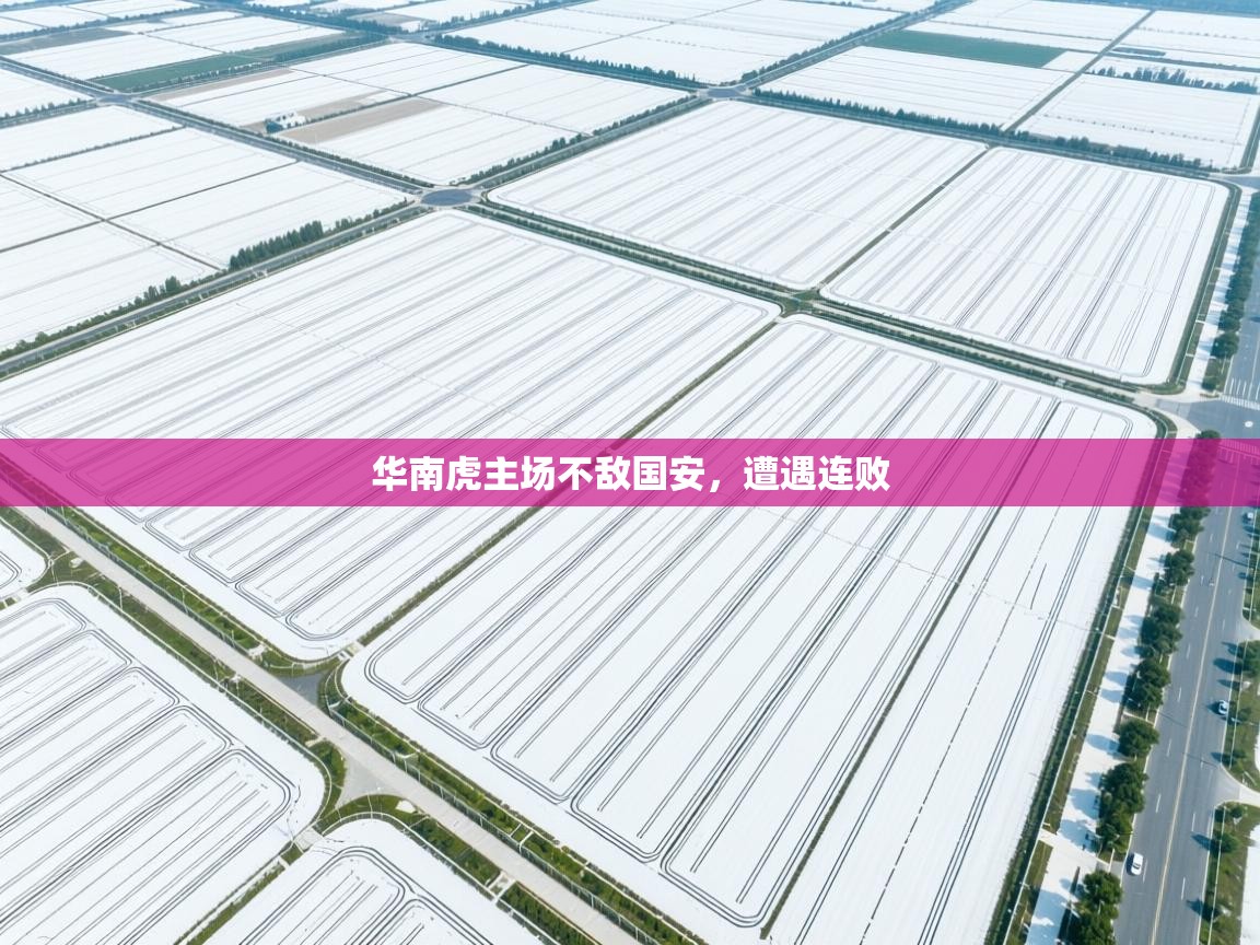 爱游戏厅下载-华南虎主场不敌国安,遭遇连败